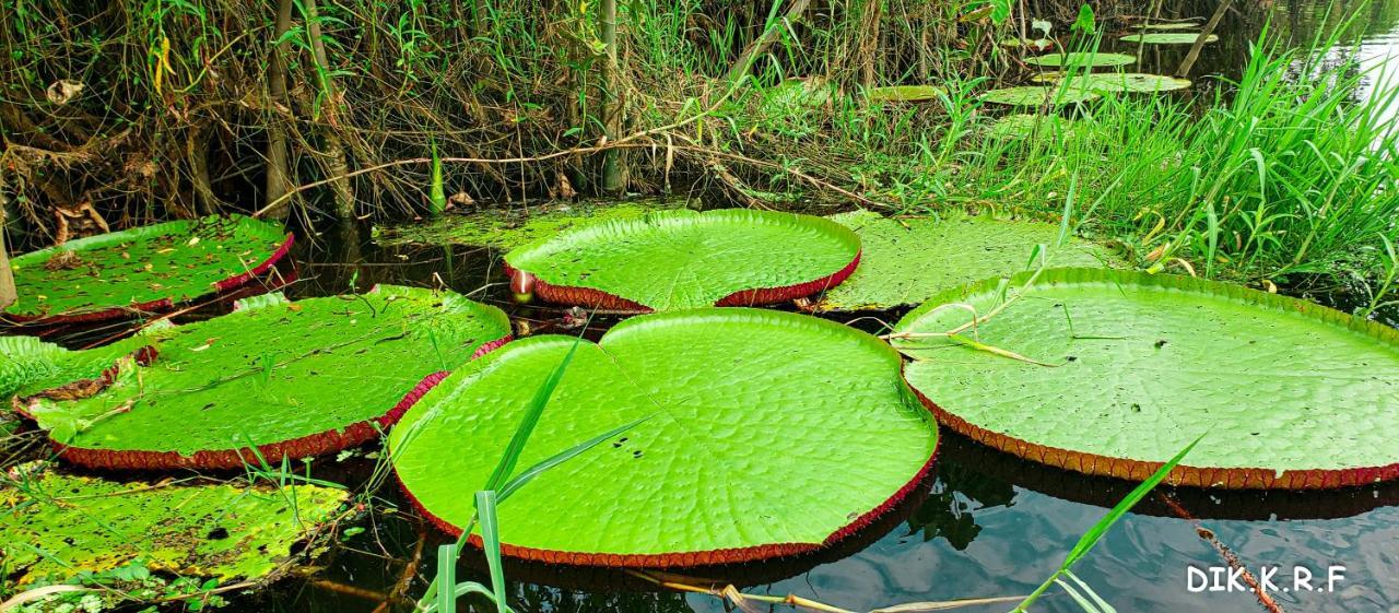 Pacaya Samiria Amazon Lodge Наута Экстерьер фото