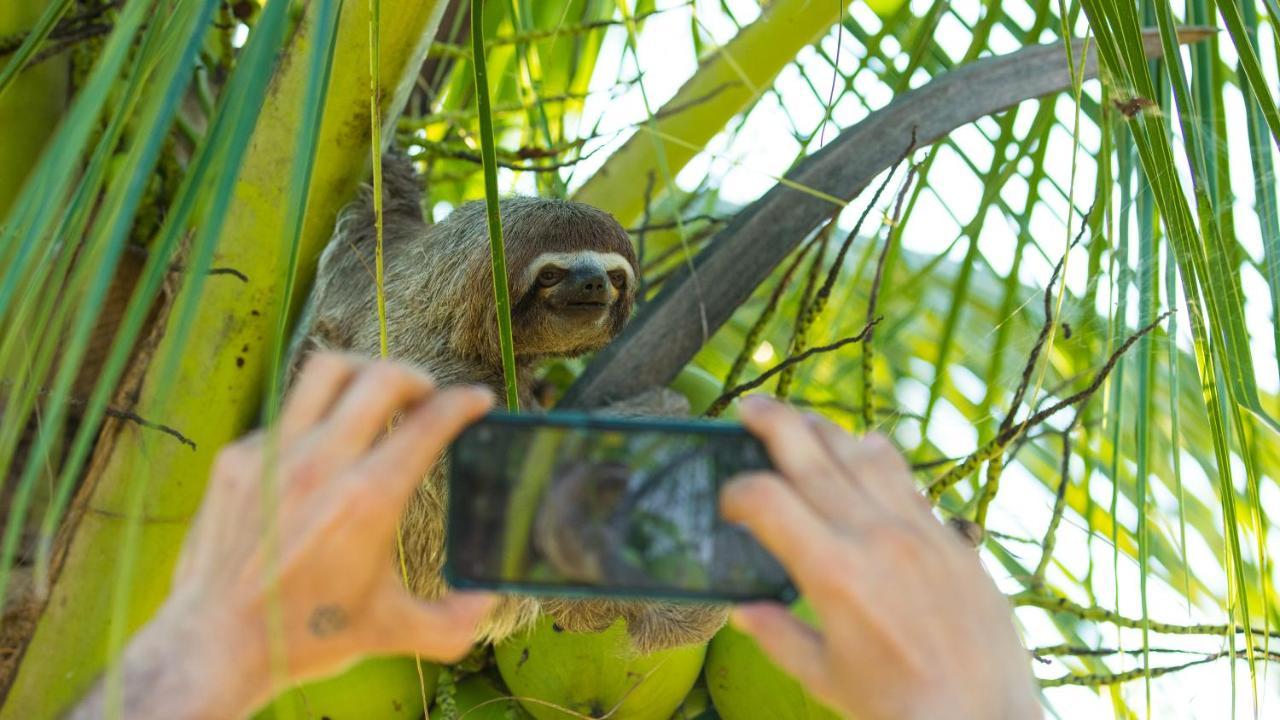 Pacaya Samiria Amazon Lodge Наута Экстерьер фото