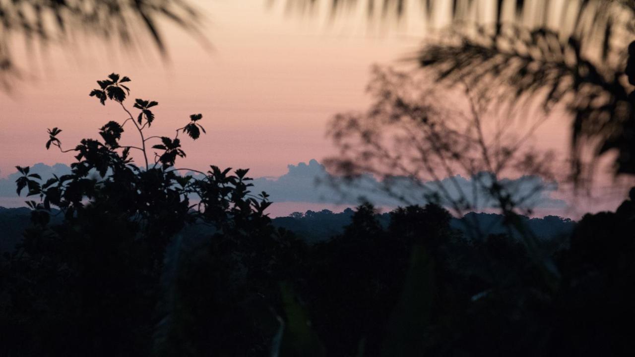 Pacaya Samiria Amazon Lodge Наута Экстерьер фото