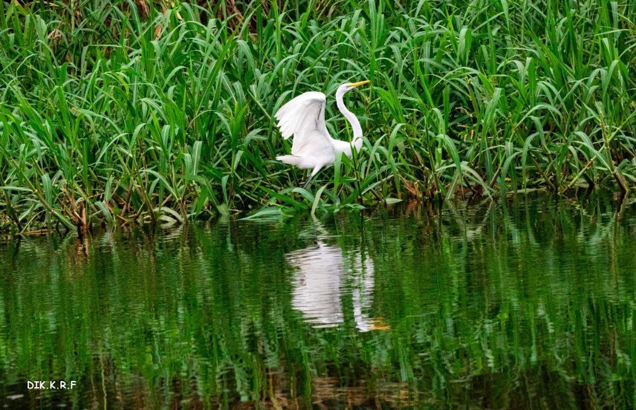 Pacaya Samiria Amazon Lodge Наута Экстерьер фото